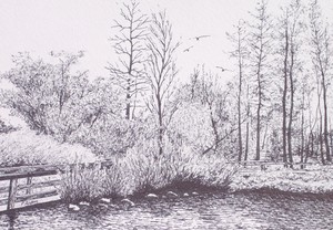 20121004202703-mixed_photos___drawings_018