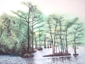 20121004203058-mixed_photos___drawings_019