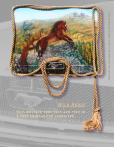 20121004210723-wildhorse