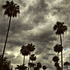 20121006042821-beverly_hills