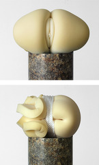  Bottom 2,Adam Parker Smith