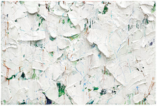 ,Ron Ehrlich
