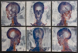 20121007100632-studies_of_a_skull