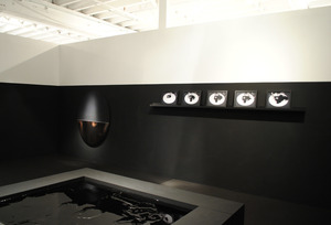 20121007155556-francine-leclercq_narcissus_17