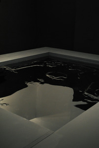 20121007155925-francine-leclercq_narcissus_28