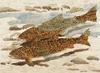 20121007214053-big_nw595_sftroutreflections