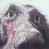 20121008123242-dscf4132
