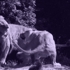 Lion-2