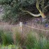 20121008182135-trailside