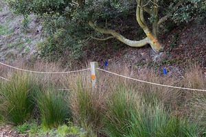 20121008182135-trailside