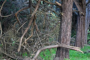 20121008182312-trail_pattern1_