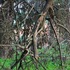 20121008182552-trail_pattern2