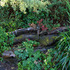 20121008183523-kamnott_1818_72