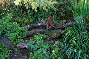 20121008183523-kamnott_1818_72