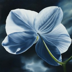 20121008183650-when_flowers_turn_their_backs_ii