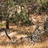 20121008193353-corridor_mg_5861