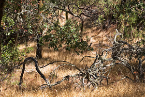 20121008193353-corridor_mg_5861
