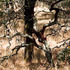 20121008193449-guardian_mg_5881