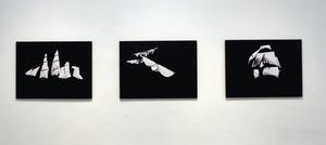 20121009014434-searching_for_images_of_blackness_installed
