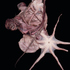 20121009033102-torso_xxi