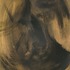 20121009045952-baker_circlingback