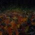 20121009104506-sam_9444
