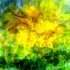 20121009210535-summer_wind_gust