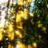 20121009210926-light_messengers