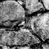 20121009211328-stone_faces