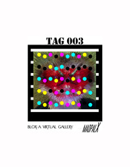 Tag 003 BLOX, a virtual gallery  Nancy Bechtol (David Bechtol seperate TAG),Nancy Bechtol
