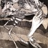 20121010045930-thin_ice_brownbestsm