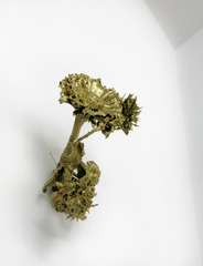 Corsage,April Street