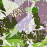 20121011214827-the_green_fairy_acrylic_on_canvas_36_x24__2012