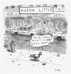 Pigeon Little,Roz Chast
