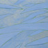 20121013001745-blue-curve2