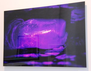 ,Sofia Calatrava