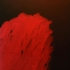 Weiner_-_flash__48x36_