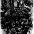 Kaltn003