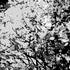 20121014192421-first_snow