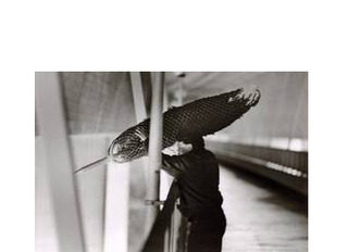 Christmas,Roman Signer