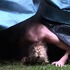 20121015110756-temazcal_7