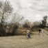 20121015152544-streets-and-places5