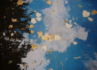 Autumn Reflection # 1,Paul Callahan