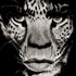 20121016003913-ads_image_create