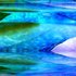 20121016185103-mallenart__2_