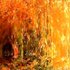 20121016185223-mallenart__5_