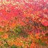 20121016185331-mallenart__4_