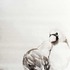 20121017142545-reciprocitypatricialarkingreenweb