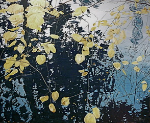 Morton Arbortoreum,Paul Callahan