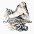 20121018083747-harmonia__2012__57x57cm__color_pencils_on_papersm